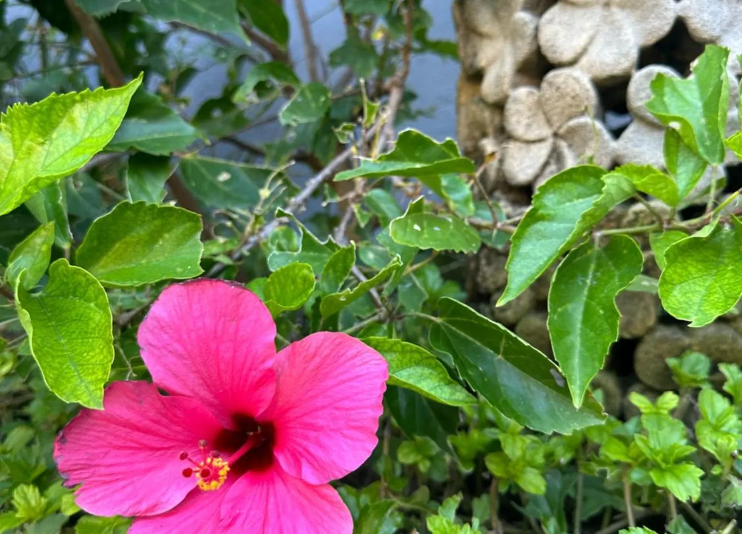 Radha Bali Hotel Kuta Lombok